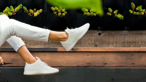 Allbrids ethical white sneakers