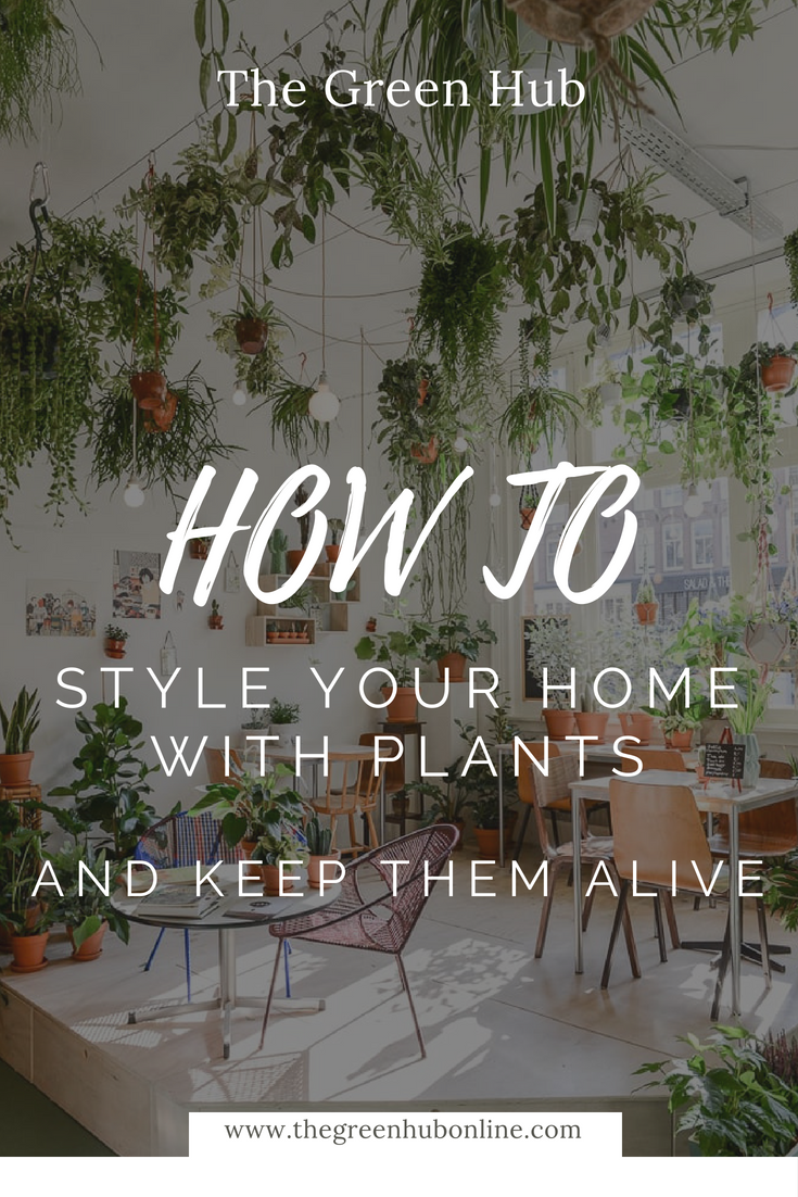 How to style with plants