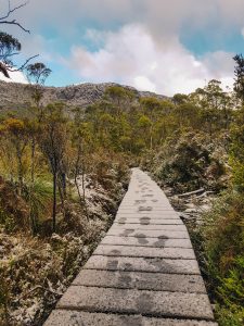 Tasmania Overland Track