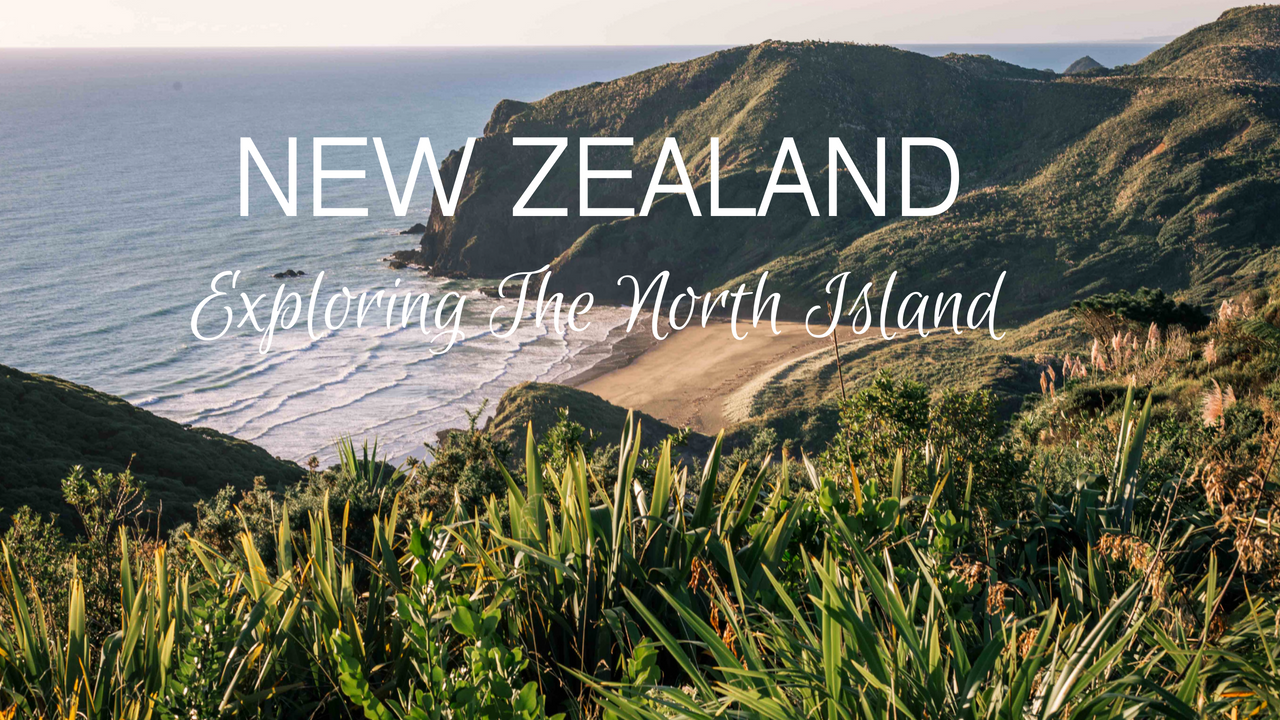New Zealand Eco Travel