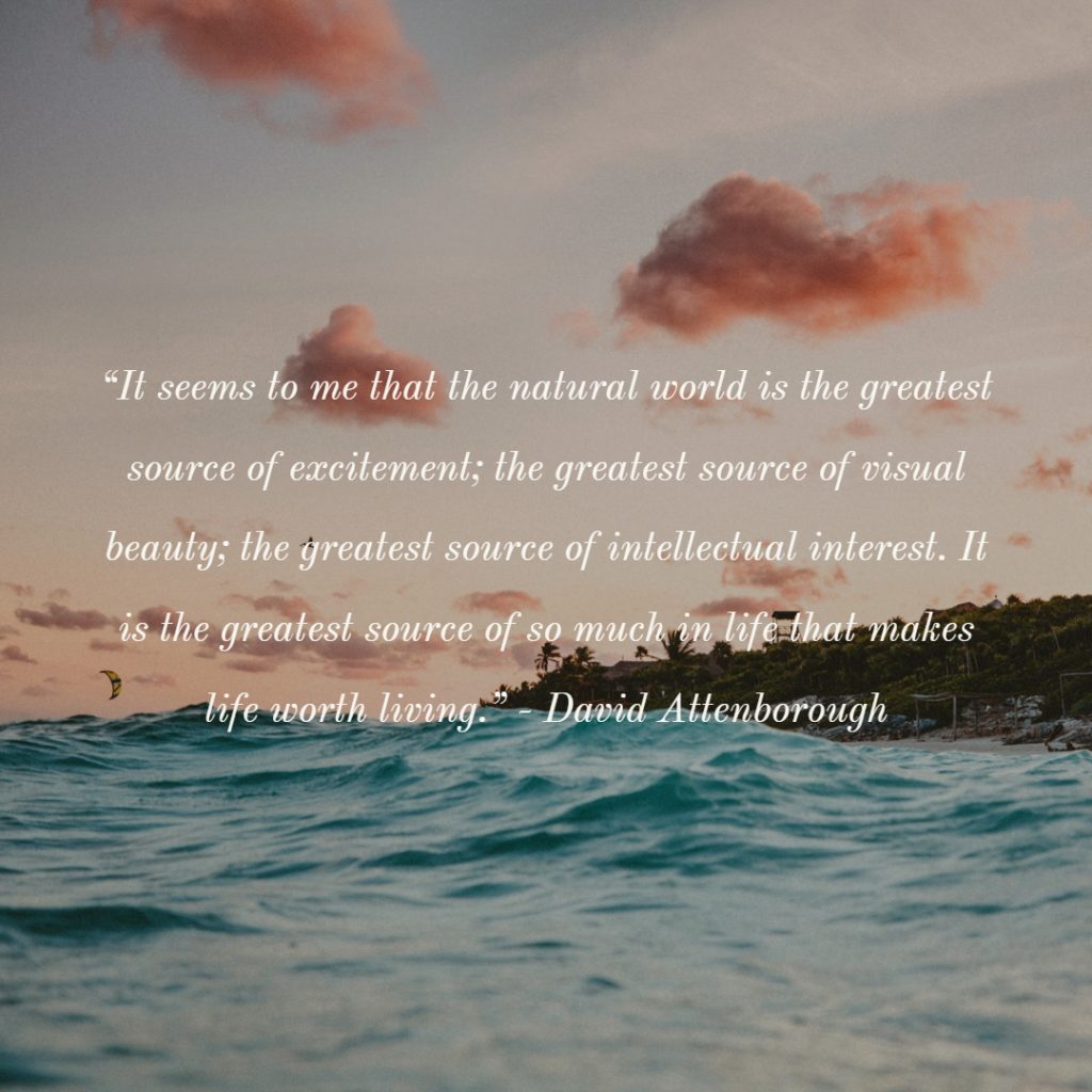 21 Inspiring Quotes About Sustainable Living, Nature & The Environment