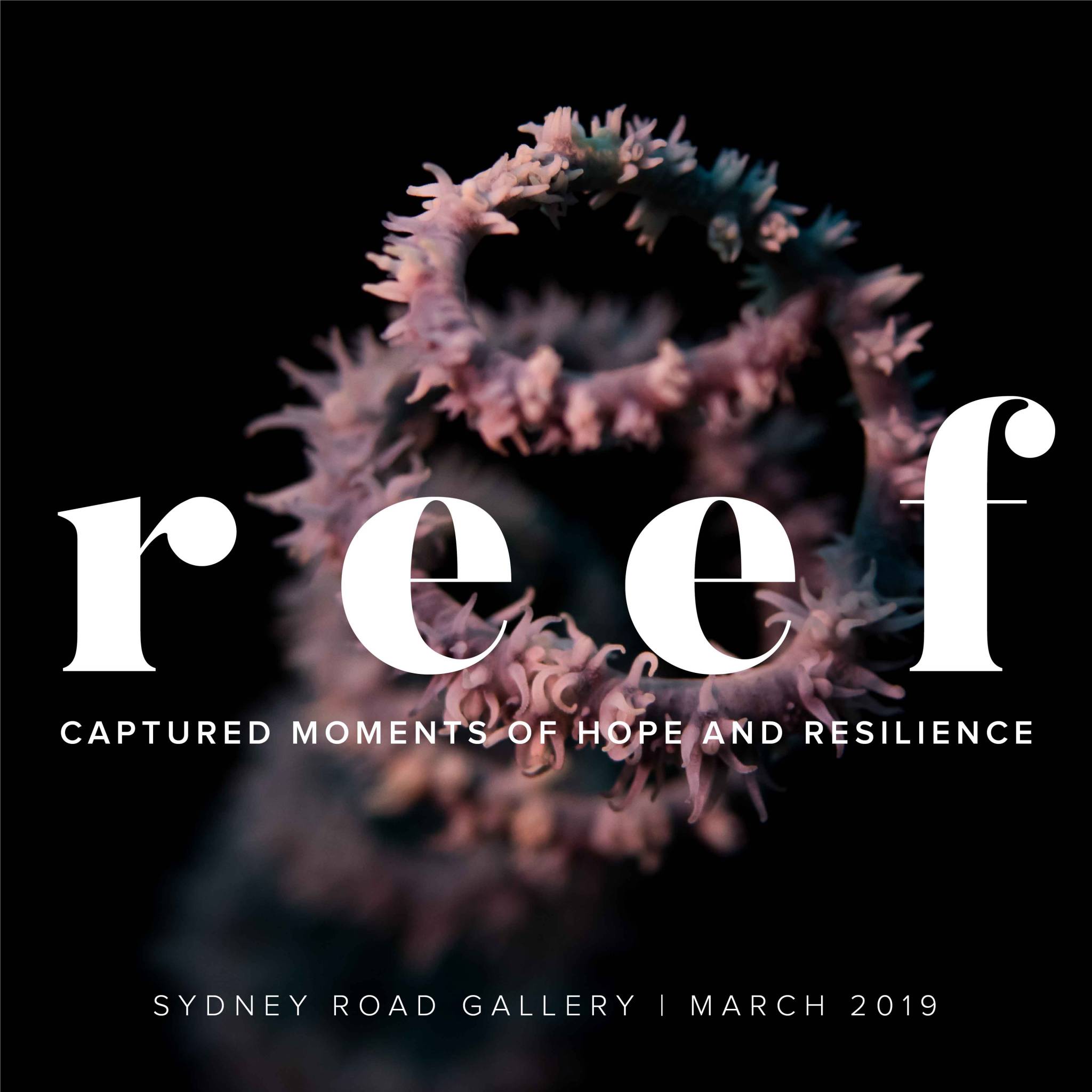 REEF Photography Exhibition