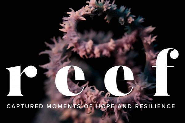 REEF Photography Exhibition
