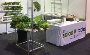 organic salad table