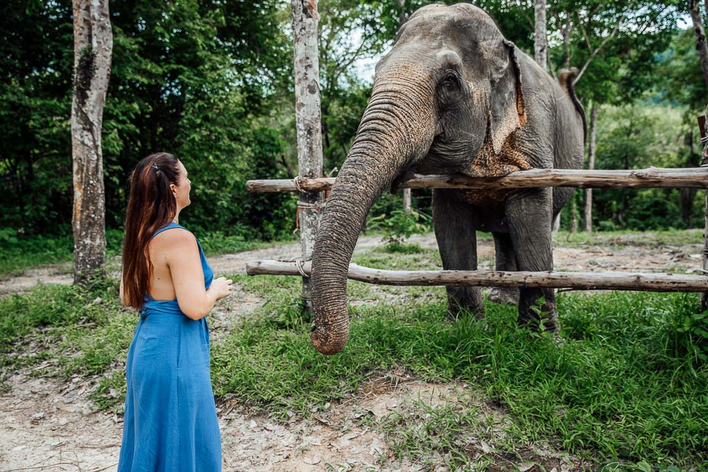 Ethical Tourism in Thailand - Phuket's First Elephant Sanctuary - The Green  Hub