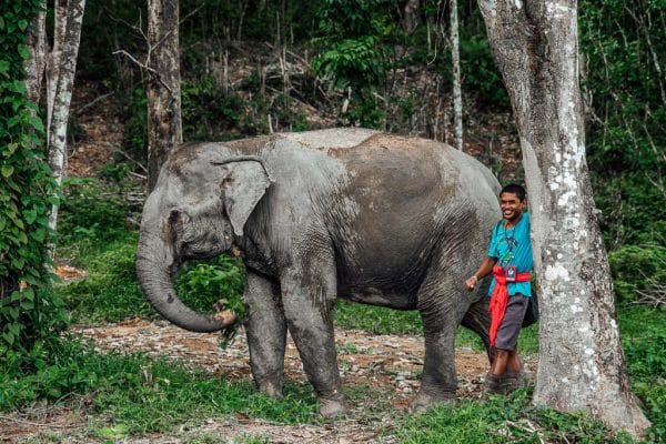 Phuket Thailand ethical elephant sanctuary