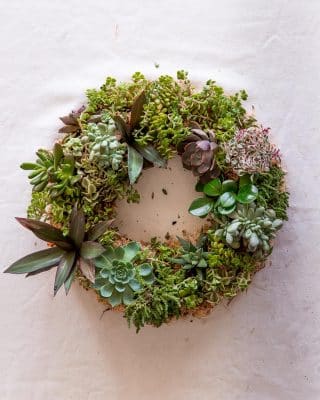 Easy to Make DIY Succulent Wreath - The Green Hub