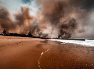 NSW Bushfires Martin Von Stoll