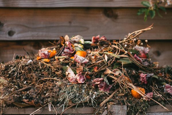 How to compost what can be composted
