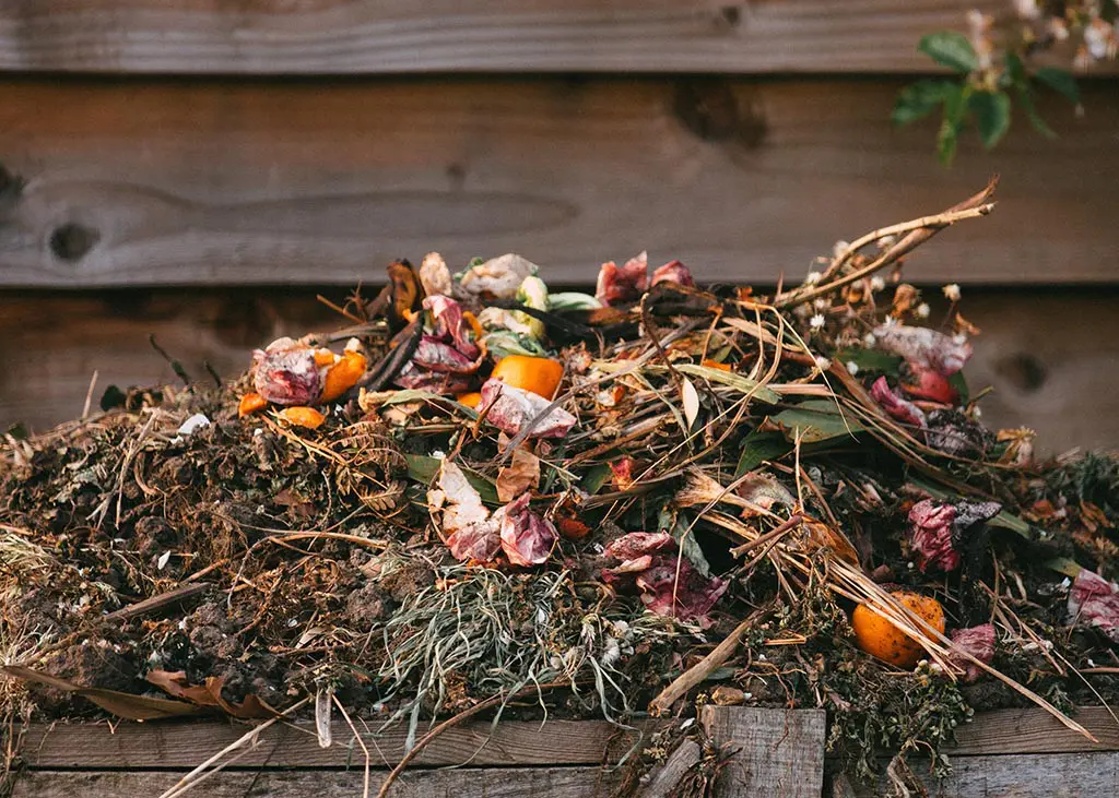 How to compost what can be composted