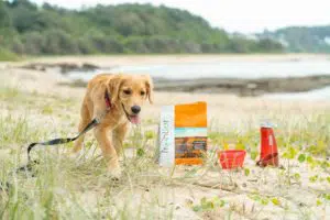 Frontier Pets Ethical Sustainable Australian Dog Food
