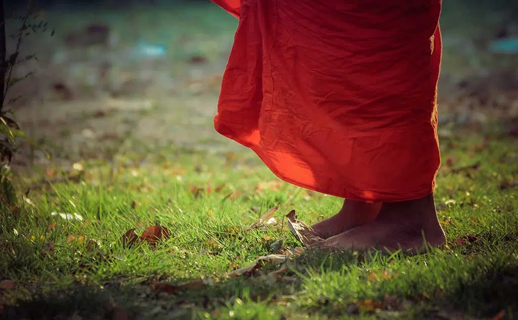 Walking Meditation Thich Nhat Hanh