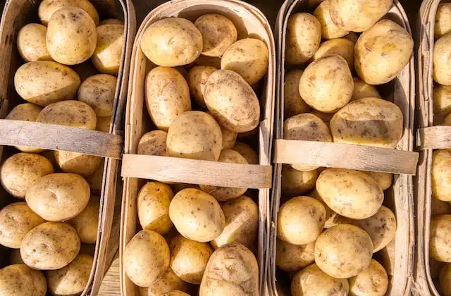 How to Store Potatoes So They Last Longer