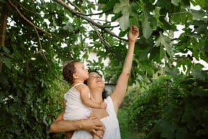 How Plants Can Change Your Mind