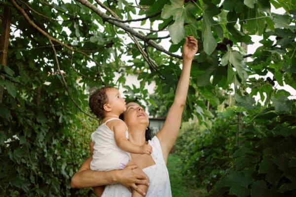 How Plants Can Change Your Mind