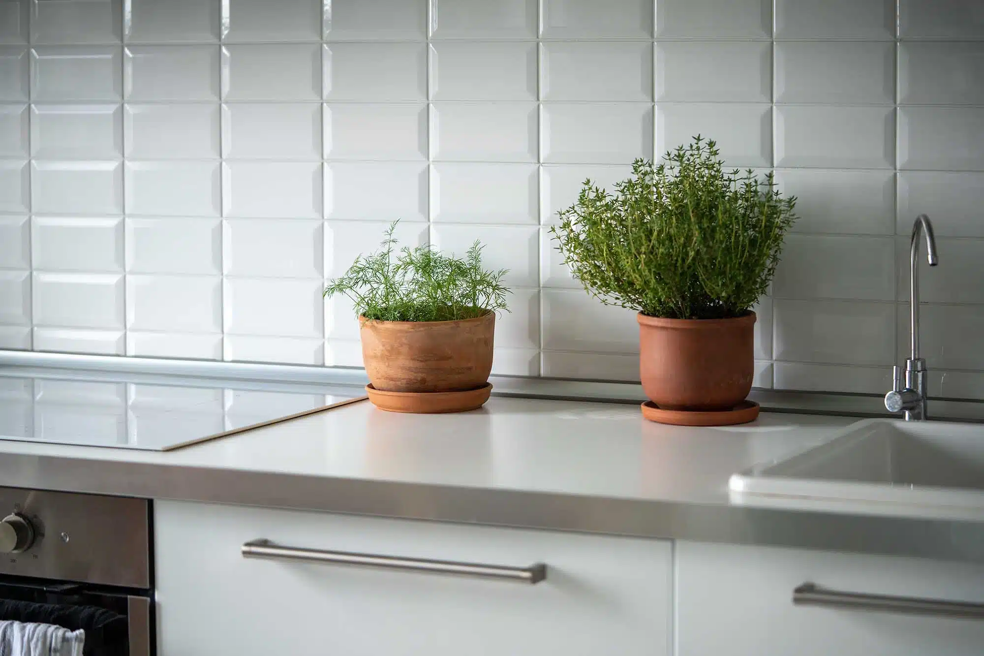 How to store fresh herbs properly