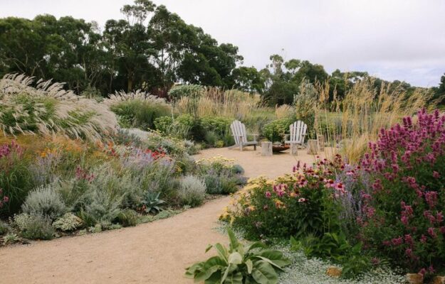 How I'm Rewilding my Suburban Australian Backyard - The Green Hub