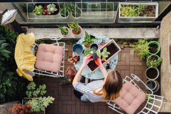 How to grow Food Save Money
