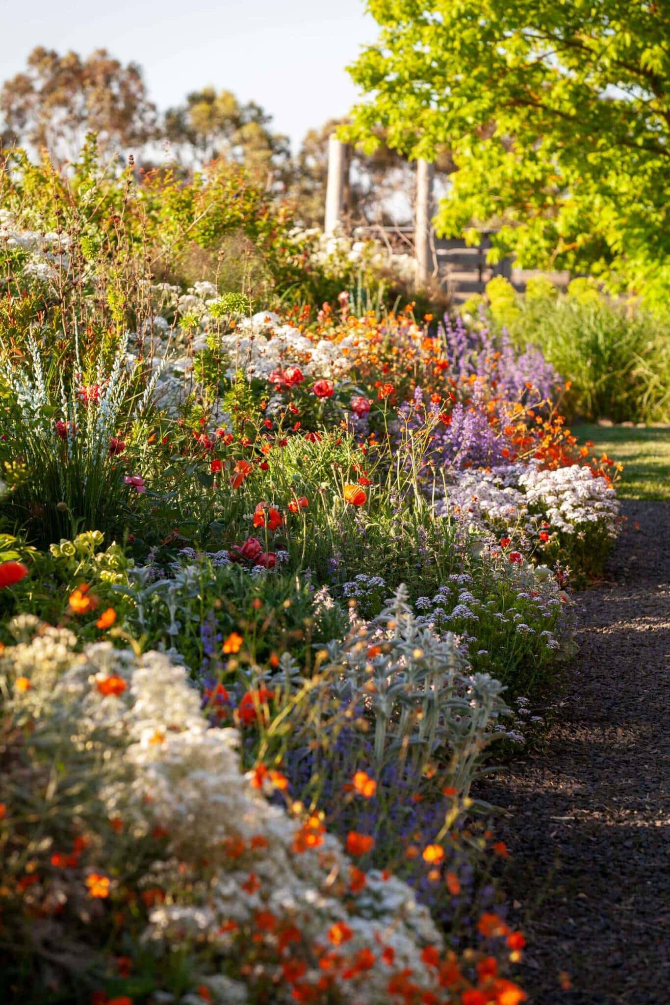 Native Flower Garden Australia Homes to Love