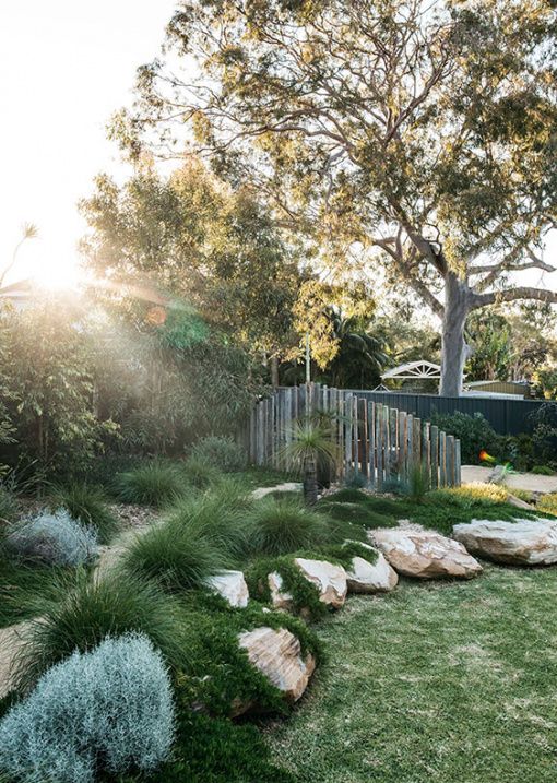 Native Garden Design Fig Landscapes The Design Files