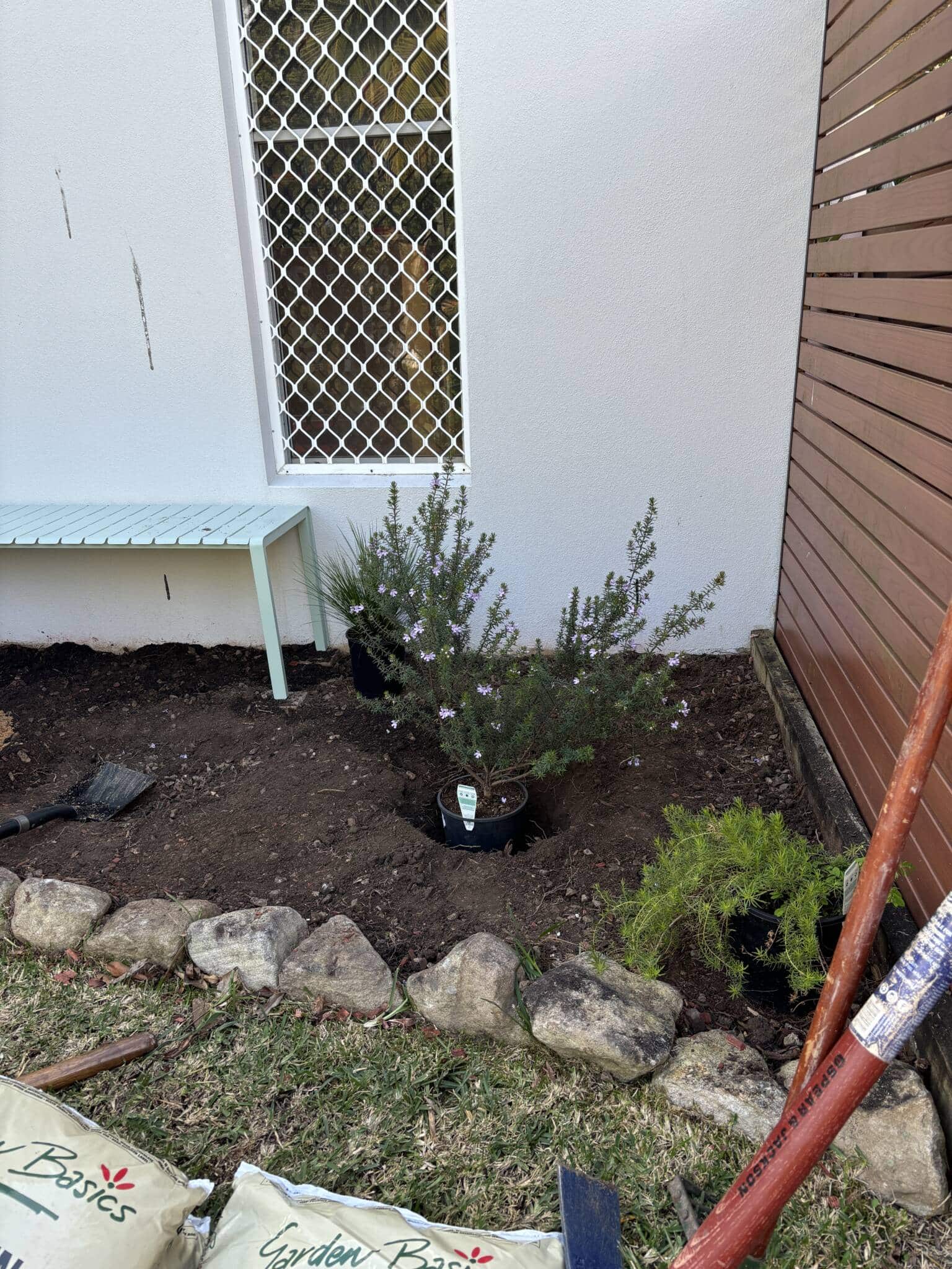 The Green Hub Native Garden