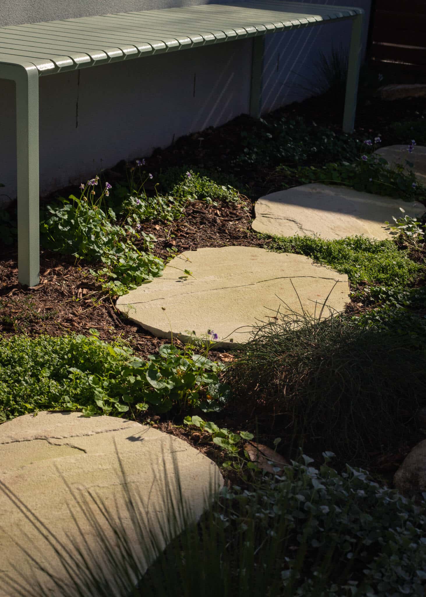 Australian native garden