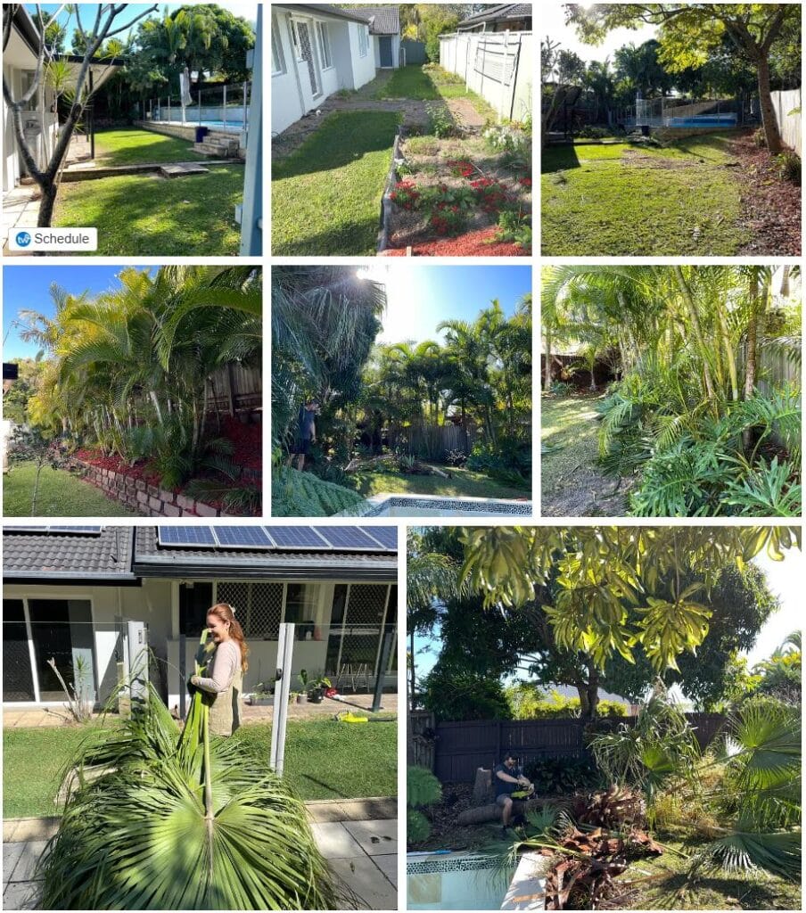 The Green Hub Australian Native Garden