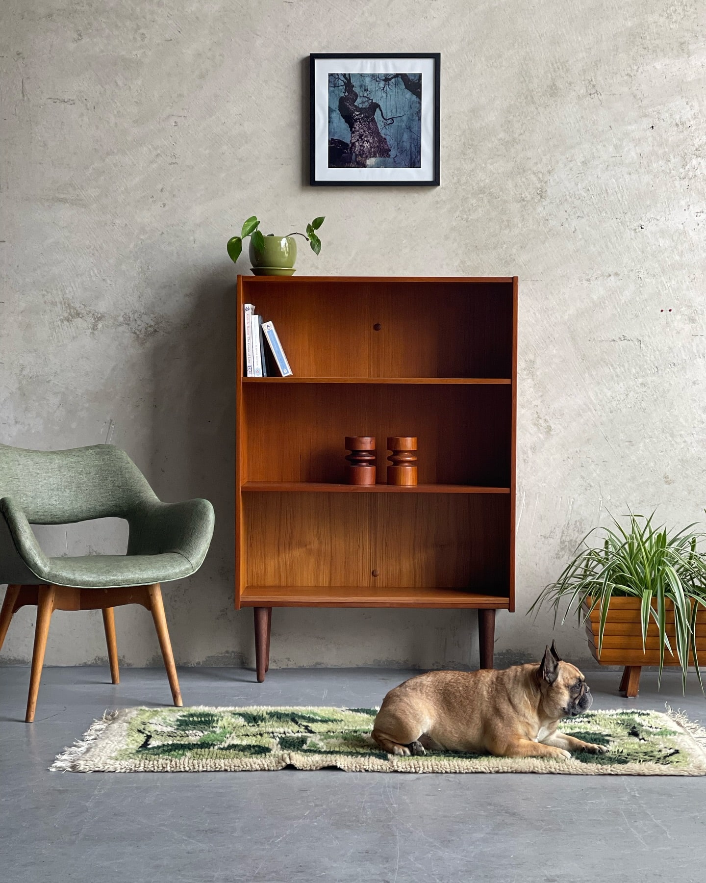 Mid Century Furniture Australia