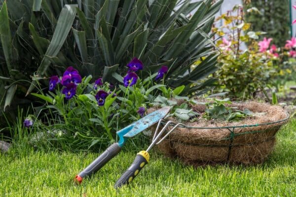 Essential Tools For Your Garden