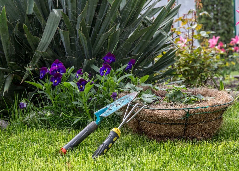 Essential Tools For Your Garden