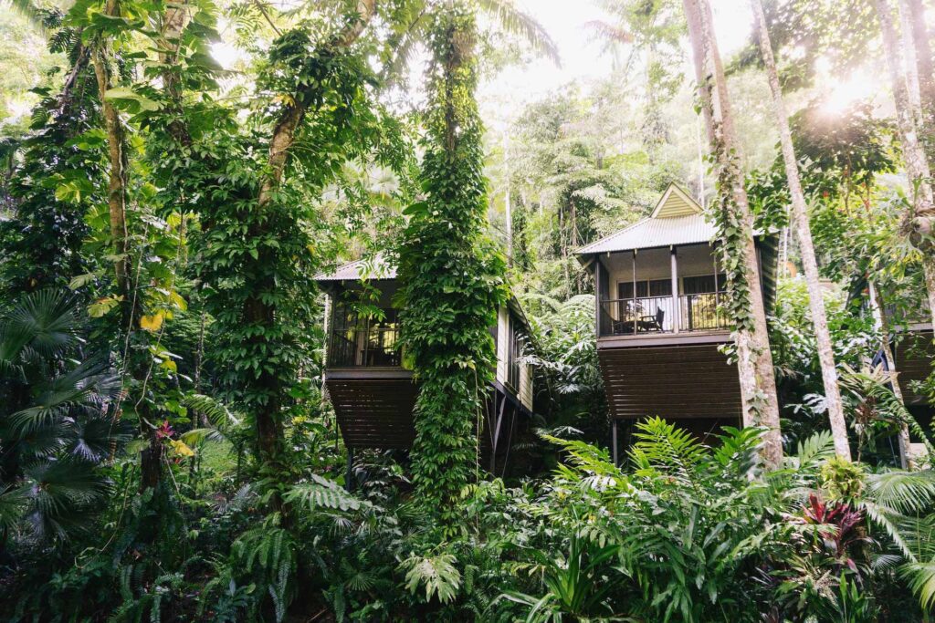 Daintree Ecolodge Australia 2025