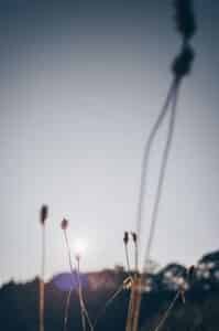 slow living rituals