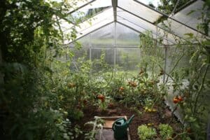Gardening good for mental health wellbeing