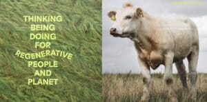 Best Sustainable Living Site Australia 2025