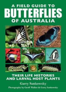 a-field-guide-to-butterflies-of-australia