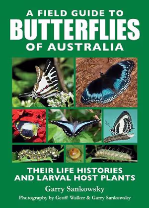 a-field-guide-to-butterflies-of-australia