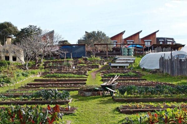 Best Garden Courses Australia