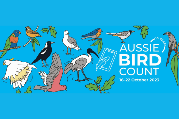 Great Aussie Bird Count 25