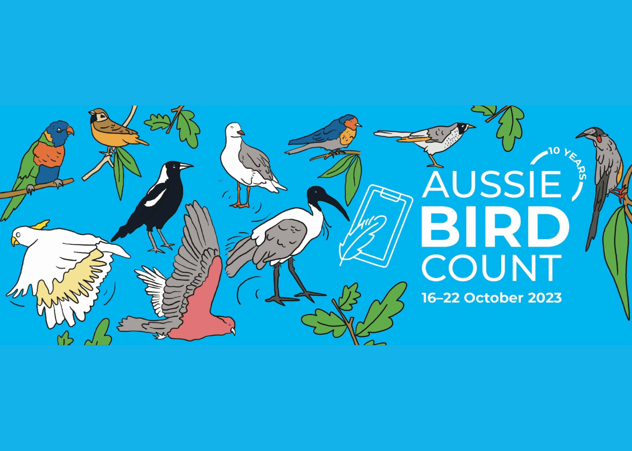 Great Aussie Bird Count 25