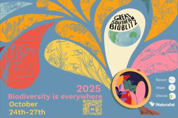 Great Southern Bioblitz 25