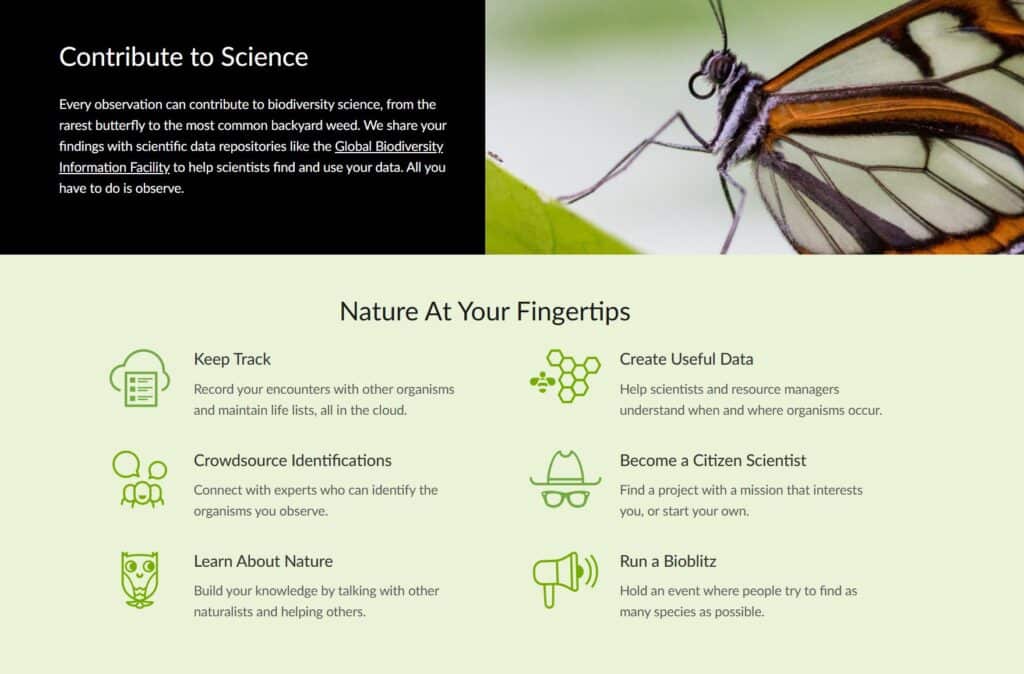 Inaturalist App Australia 2025