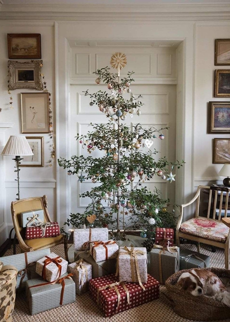 Australian Native Christmas Tree