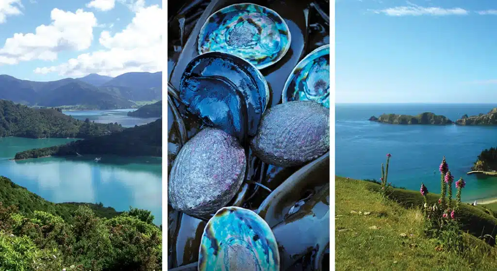 Arapawa ethical pearl farm